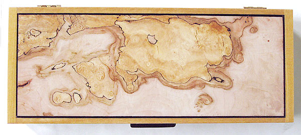 Spalted maple burl box top - Decorative wood desktop box or pen box