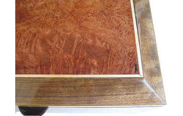 Redwood burl box top close up