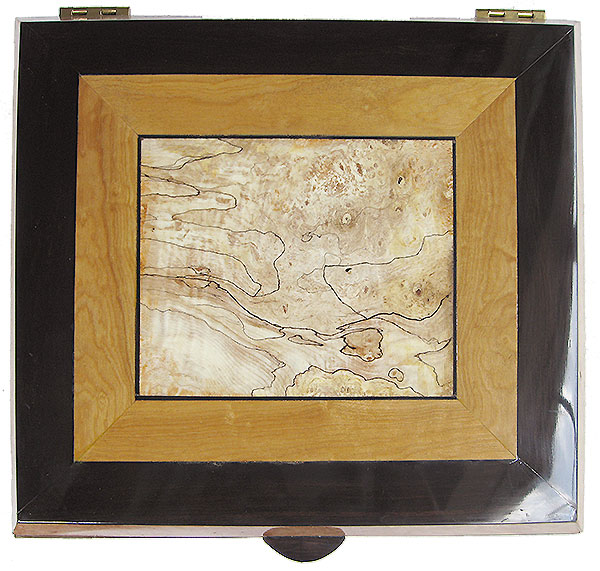 Large wood keepsake box top - Blackline spalted maple burl center framed in Ceylon satinwood and African Blackwood