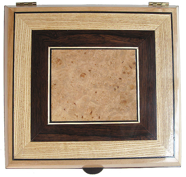 Handcrafted large wood box top - Maple burl center piece framed with African blackwood and ash