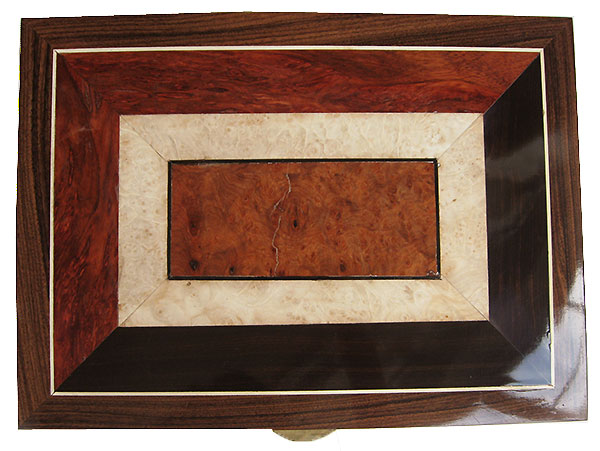 Mosaic box top made of bloodwood burl, African blackwood, maple burl , amboyna burl