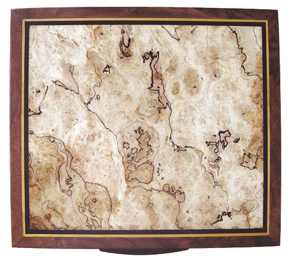 Spalted maple burl box top - Large decorative keepsake box