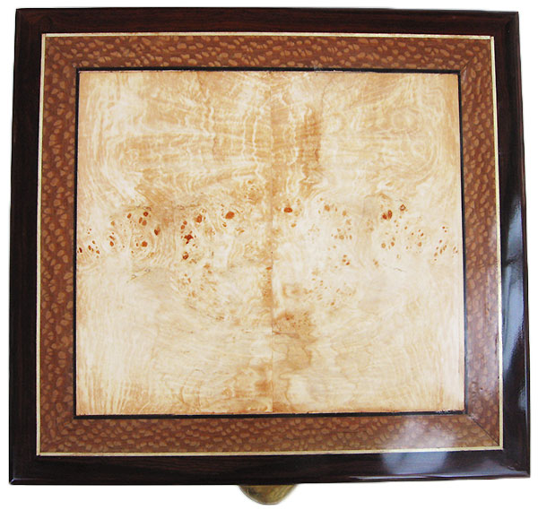 Spalted maple burl framed in lace wood and cocobolo - Handcrafted large keepsake box or document box top