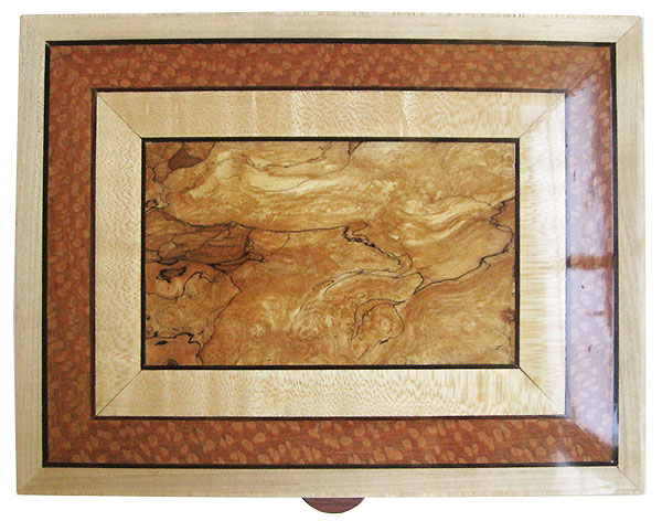Handmade wood box top - Spalted maple center framed in maple and lacewood with ebony stringings
