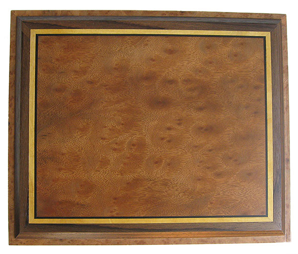 Large wood keepsake wood box top - Camphor burl framed in eboy, Ceylon satinwood and Indian rosewood