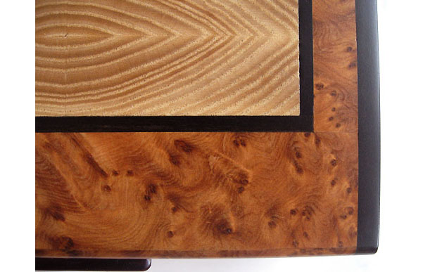 Amboyna burl box top inlaid with end grain elm trimmed in ebony - Close up