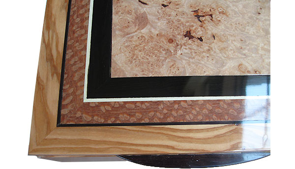 Maple burl center framed in African blackwood, lacewood and Mediterranean olive box top close up
