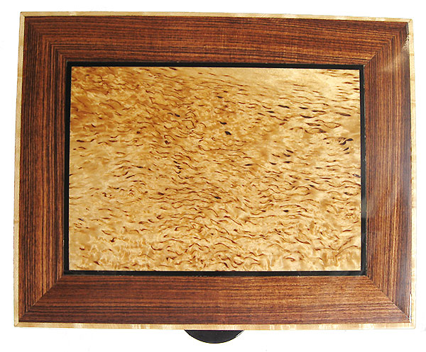 Masur birch framed in Brazilian kingwood box top - Handmade wood box - Decorative keepsake box