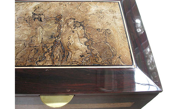 Spalted maple framed in cocobolo box top close up